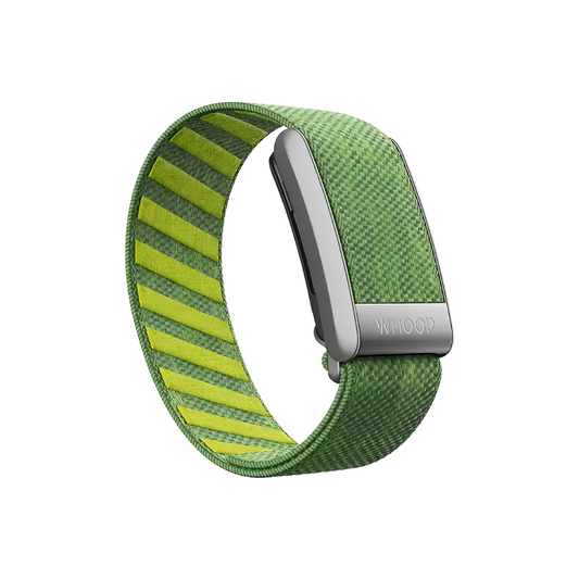 Ace Green SuperKnit With Silver Hardware