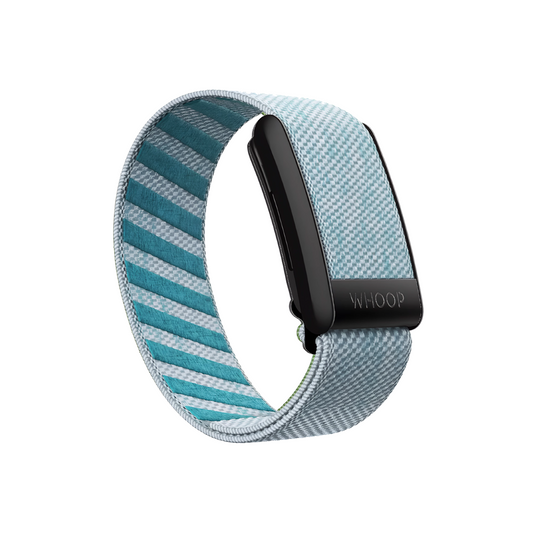Ice SuperKnit With Black Hardware
