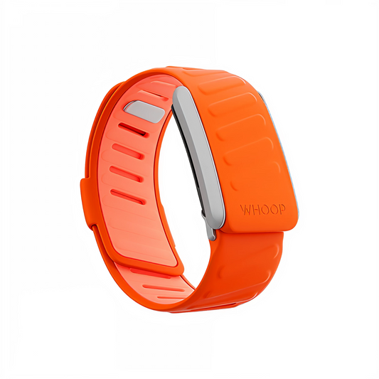 Surge SportFlex Band